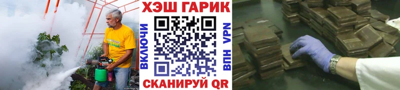 ГАШ ice o lator  цены   Жердевка 