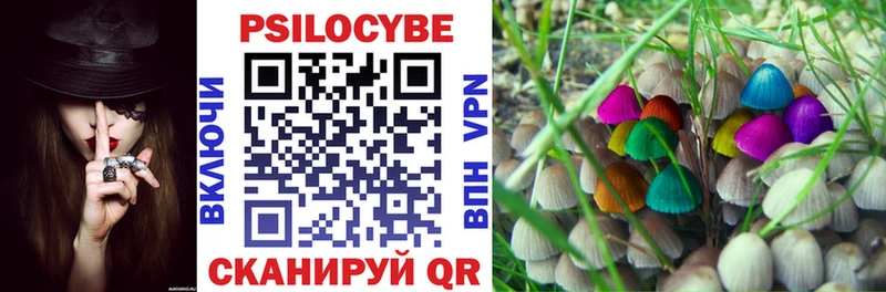 Галлюциногенные грибы GOLDEN TEACHER  Жердевка 